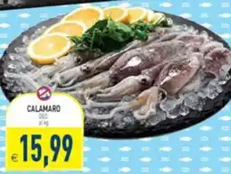 Iperfamily Calamaro offerta