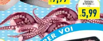 Tentacoli di Totano