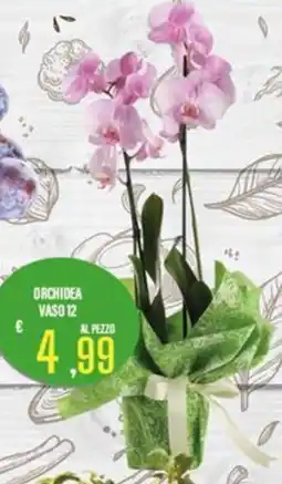 Supermercati EffePiù Orchidea offerta
