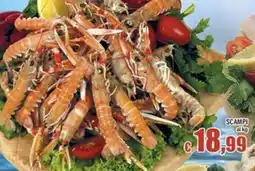 Top Supermercati Scampi offerta