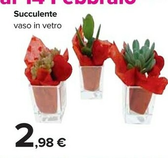 Carrefour Piante offerta