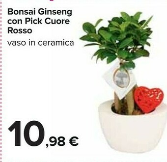 Carrefour Piante offerta