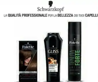 Ipercoop Tinte per capelli offerta