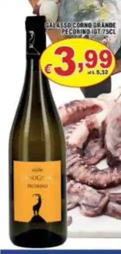 Sacoph Galasso Corno Grande Pecorino IGT offerta