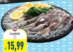 Pim Supermercati Calamaro offerta