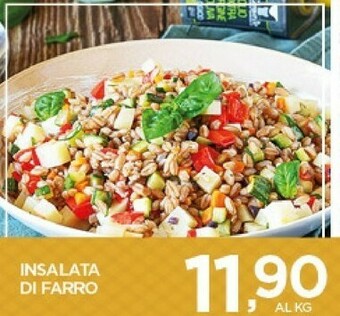 Interspar Insalata di farro offerta