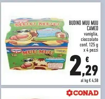 Conad Budino muu muu offerta