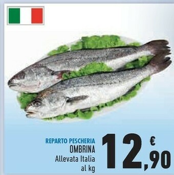 Conad Superstore Ombrina offerta