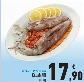 Conad Superstore Calamari offerta