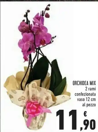 Conad Superstore Orchidea mix offerta