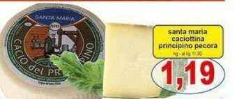 Pewex Caciotta offerta