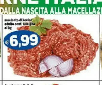 Il Castoro Supermercati Hamburger offerta