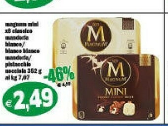 Il Castoro Supermercati Magnum offerta