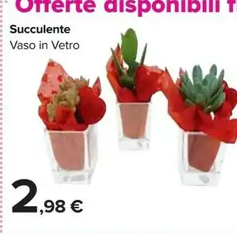 Carrefour Market Succulente vaso in vetro offerta