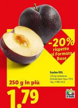 Lidl Susine XXL offerta