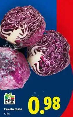 Lidl Cavolo rosso offerta