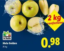 Lidl Mele Golden offerta