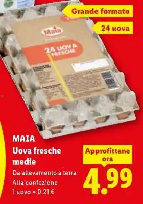 MAIA Uova fresche medie