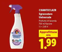 Lidl Chanteclair Sgrassatore Universale offerta