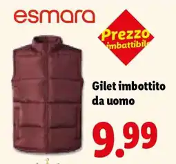 Lidl Gilet imbottito da uomo offerta
