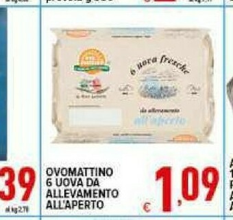 Iper Triscount Uova offerta