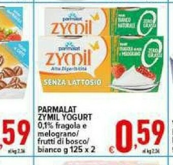 Iper Triscount Yogurt offerta