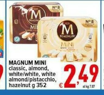 Iper Triscount Magnum offerta