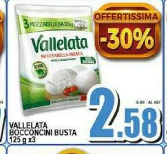 Sacoph Mozzarella offerta