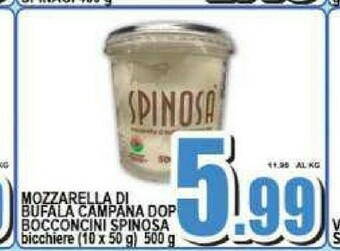 Sacoph Mozzarella di bufala offerta