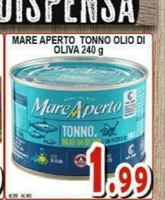 Sacoph Tonno offerta
