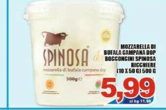 Sacoph Mozzarella di bufala offerta