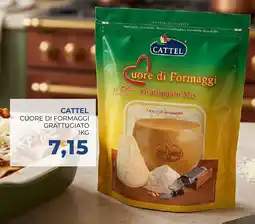 Moderna Cattel Cuore di Formaggi Grattugiato offerta