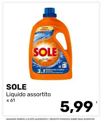Sole liquido assortito