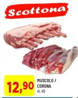 DPiù Scottona Muscolo / Corona offerta