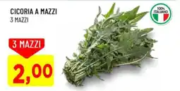 DPiù Cicoria a mazzi offerta