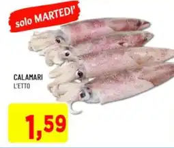 DPiù Calamari offerta