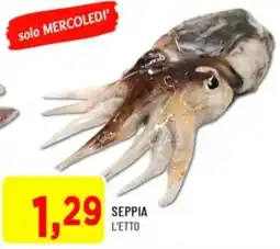 DPiù Seppia offerta