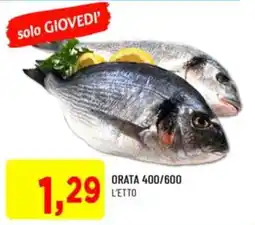 DPiù Orata offerta