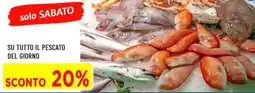DPiù Tutto il pescato del giorno offerta