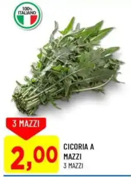 DPiù Cicoria a mazzi offerta