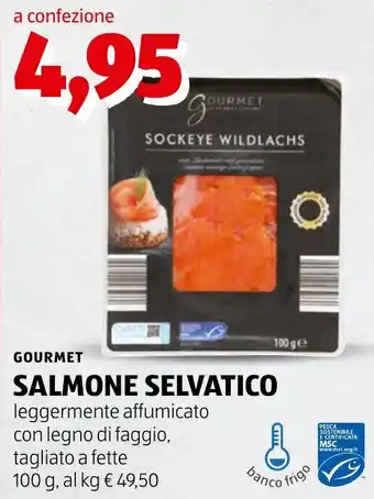 Gourmet Salmone selvatico