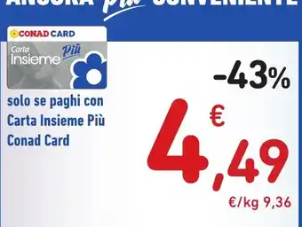 Carta Insieme Più Conad Card