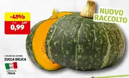 ALDI I colori del sapore zucca delica offerta