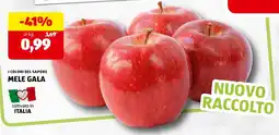 ALDI I colori del sapore mele gala offerta