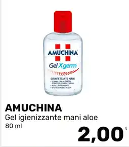 Iper Tosano Amuchina gel igienizzante mani aloe offerta