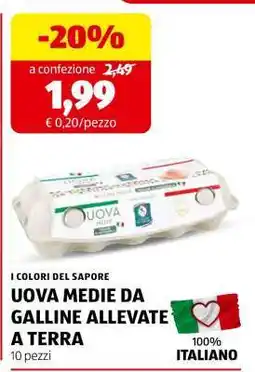 ALDI UOVA MEDIE DA GALLINE ALLEVATE A TERRA offerta
