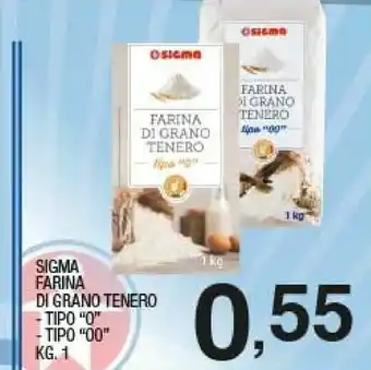 Sigma Sigma farina di grano tenero tipo o offerta