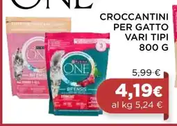 Coop CROCCANTINI PER GATTO VARI TIPI 800 G offerta