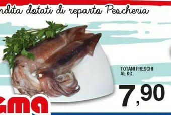 Totani freschi