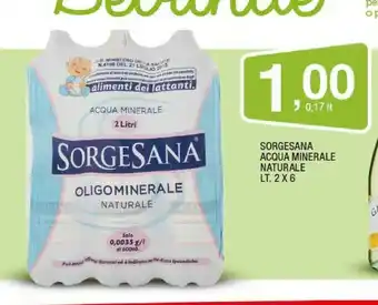 Sigma Sorgesana - acqua minerale naturale 2000 g(ml) offerta